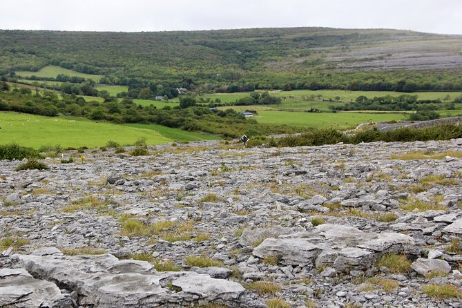 Private Burren and Cliffs of Moher Full Day Tour - Cliffs of Moher: where you should spend your real time