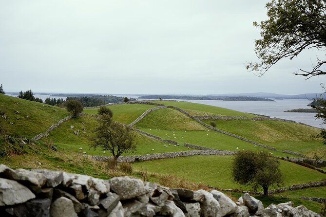Private Day Tour Cliffs of Moher from Dublin - Key highlights worth planning for
