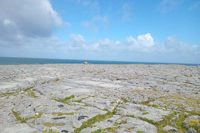 Private Day Tour Cliffs of Moher from Dublin - Wild Atlantic Way time, then back to Dublin