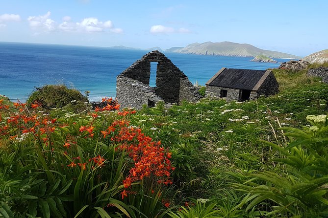 Private Dingle Peninsula Full-Day Tour - Slea Head Drive cliffs, where the peninsula turns dramatic