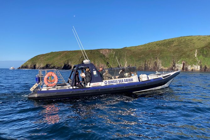 Private family sea safari - Dingle Sea Safari: what you’re really paying for on a private boat