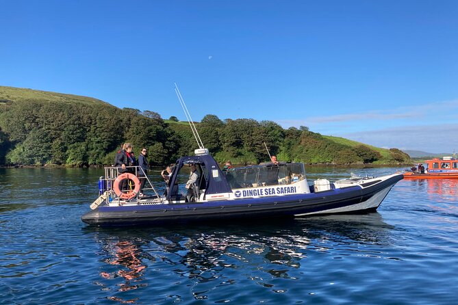Private family sea safari - Great Blasket Island stop: cliffs, caves, and sea birds up close