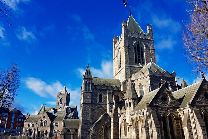 Private Fantastic Walking Tour of Dublin - Price and Value for a Private 3 Hour Tour