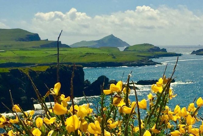 Private Full Day Tour From Killarney - Ring of Kerry/Skellig - From Pickup to Coastal Miles: What the Transportation Includes