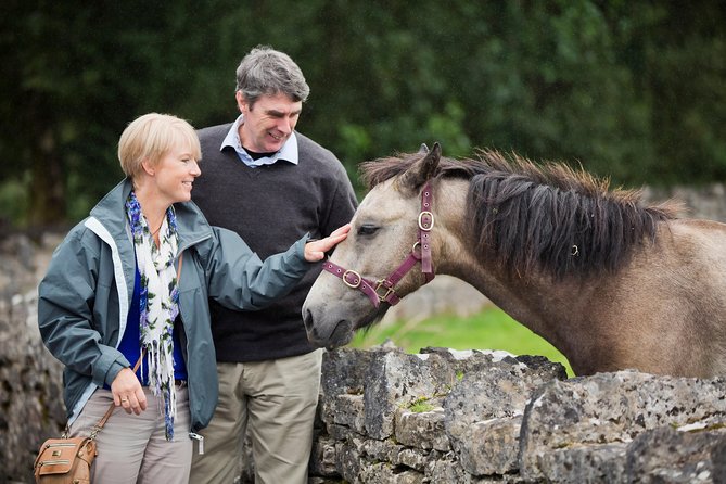 Private Half Day Tour To Connemara - How a private half day from Galway really pays off