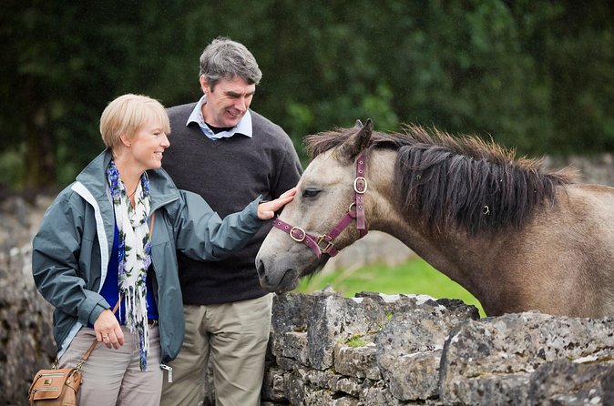 Private Half Day Tour To Connemara - The drive on quiet roads: stone walls, mountains, and Gaelic villages