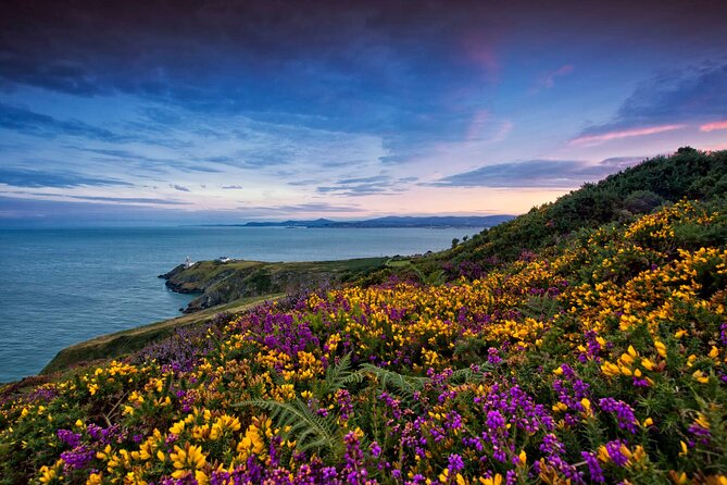 Private Howth Coastal Walk - The Abbey Tavern break plus Howth Market timing