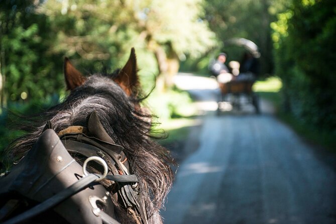 Private Jaunting Tour and Afternoon Tea in Killarney - St. Mary’s Cathedral from the carriage: culture without the walking grind
