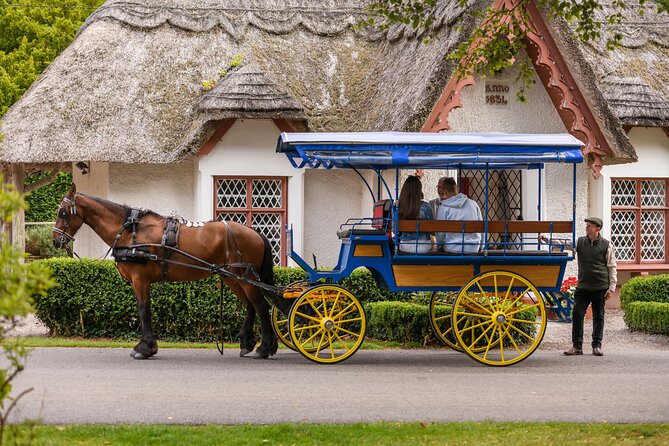 Private Jaunting Tour and Afternoon Tea in Killarney - Passing Killarney National Park by carriage