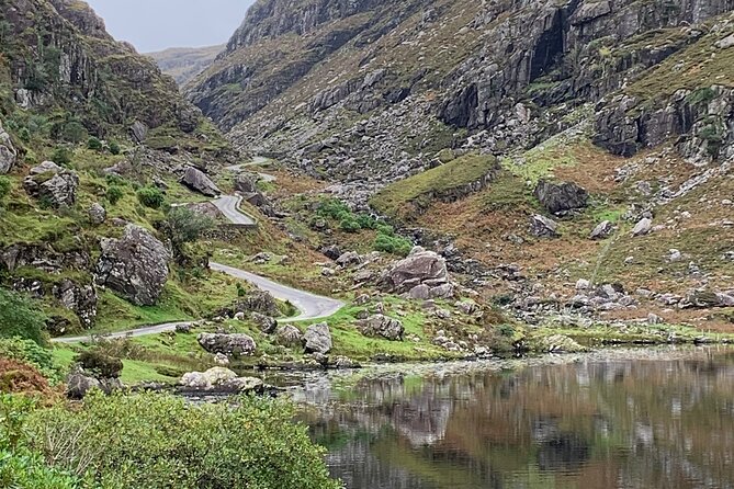 Private Killarney National Park Tour with an accredited chauffeur/guide - The 10,000-hectare park drive, plus Ladies View panoramas
