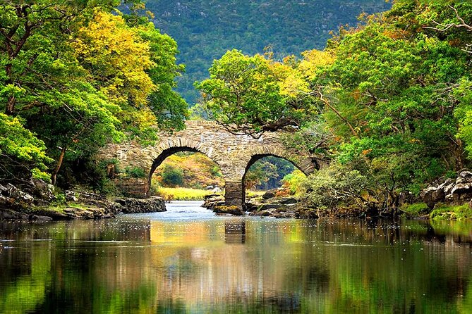 Private Ring of Kerry Tour in Ireland - Muckross House, Gardens, and Traditional Farms: the Victorian beauty stop