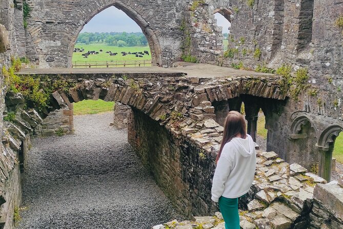 Private Tour from Dublin: Hill of Tara Trim Castle, Celtic sites - Pickup, timing, and how the day stays comfortable