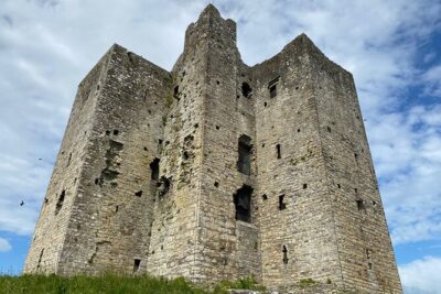 Private Tour from Dublin: Hill of Tara Trim Castle, Celtic sites