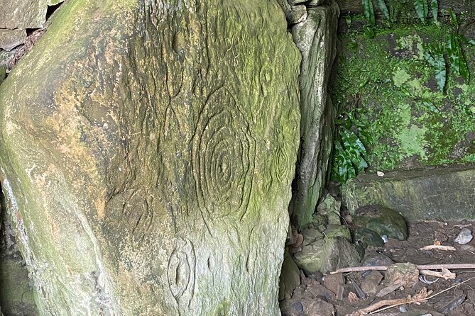 Private Tour from Dublin: Hill of Tara Trim Castle, Celtic sites - Coffee, tea, and snacks that actually help on a full day