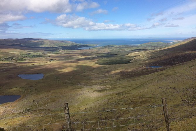 Private tour of Dingle and Slea Head with accredited guide - Pickup, timing, and how to plan your day around 7 to 8 hours