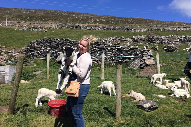 Private tour of Dingle and Slea Head with accredited guide - Should you book this tour? My honest take