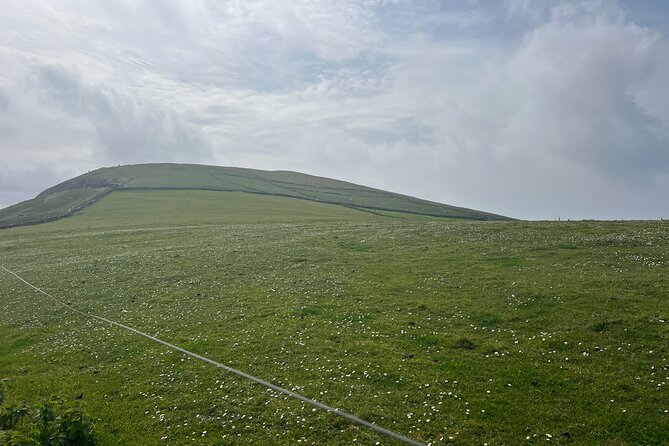 Private Tour of Dingle Peninsula from Killarney - The guide experience: charm, history, and small surprises