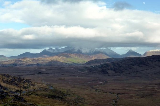 Private Tour:Ring of Kerry,Kerry Cliffs, starting in (from) Killarney - Tour pacing and what “customizable” really means in practice