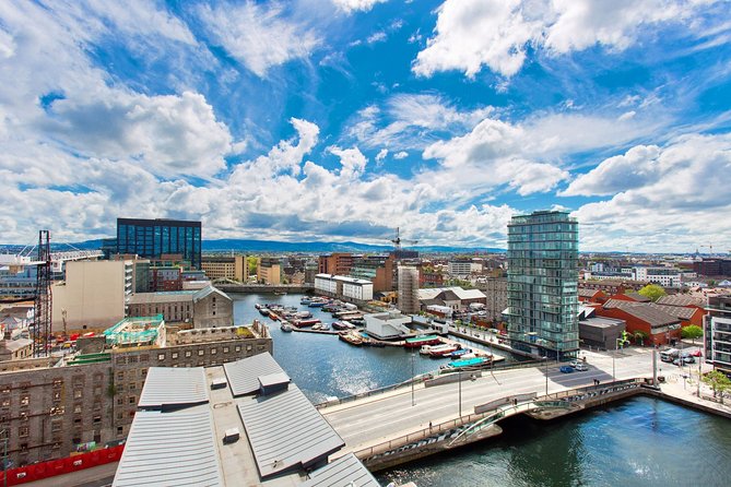 Private Transfer: Dublin Airport DUB to Dublin by Luxury Van - Who This Dublin Airport Luxury Van Transfer Fits Best