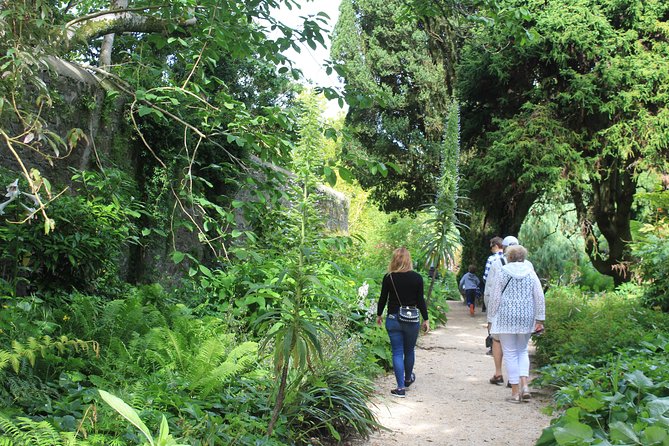 Private Wicklow Mountains Day Tour - Stop 5: National Botanic Gardens, Kilmacurragh, on the return to Dublin