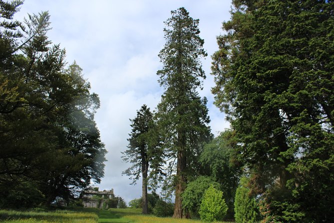 Private Wicklow Mountains Day Tour - Lunch at a traditional Irish pub: plan around what is included