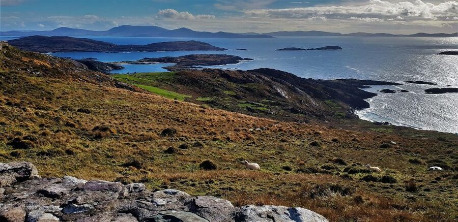 Rail Tour from Dublin: The Ring of Kerry - Price and logistics: what $158 really covers