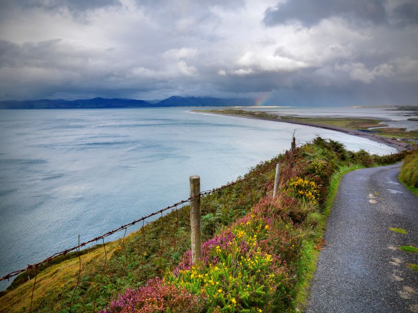 Rail Tour from Dublin: The Ring of Kerry - Killarney to Dingle Bay: getting that coast feel early