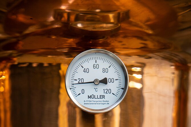 Rebel City Distillery Tour - Rebel City in Cork: a 1-hour distillery stop that feels modern, not museum-y