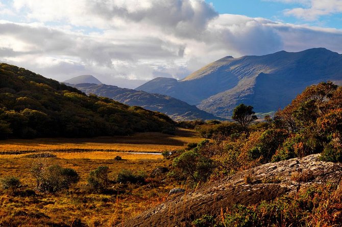 Ring of Kerry Day Tour from Cork: Including Killarney National Park - Is This Ring of Kerry Day Tour a Good Value From Cork?