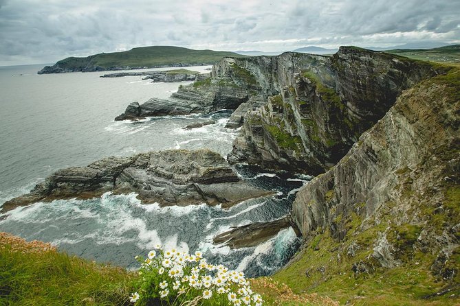 Ring of Kerry Day Tour from Cork: Including Killarney National Park - Killorglin to Ring of Kerry: Puck Fair Lore and Coastal Photo Stops