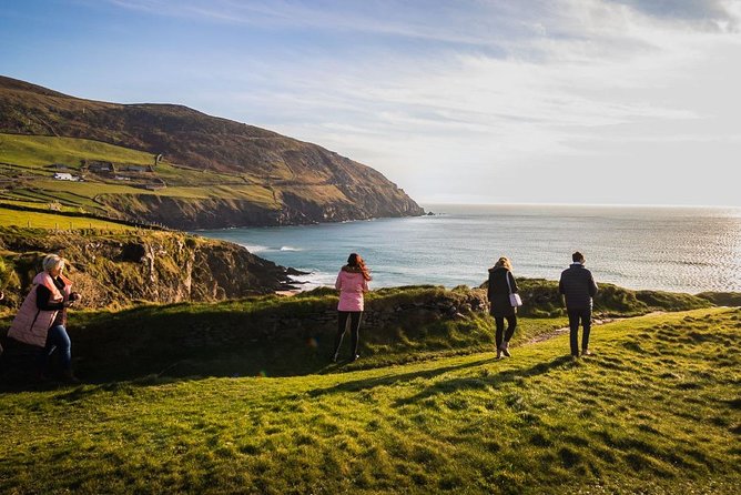 Ring of Kerry Day Tour from Cork: Including Killarney National Park - First Stop: Killarney Town for Shops, Coffee, and St. Mary’s Cathedral