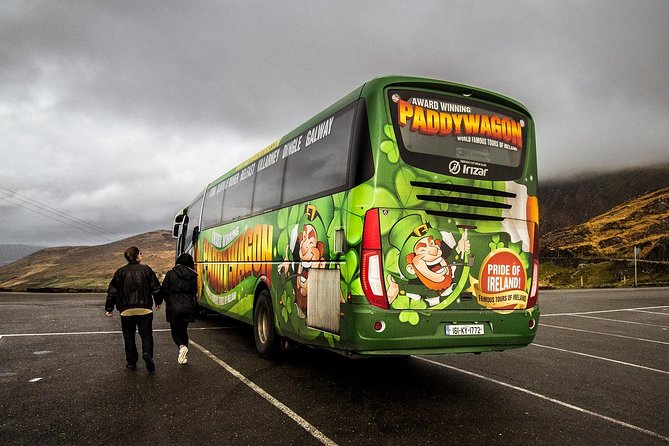Ring of Kerry Day Tour from Killarney: Including Killarney National Park - Killarney National Park: the walking payoff