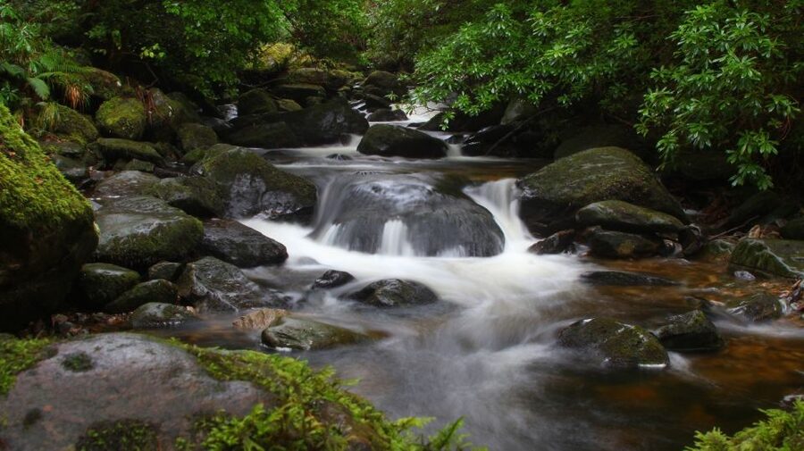 Ring of Kerry Full-Day Tour from Limerick - Price and value: is $62 a smart deal?
