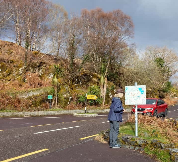 Ring of Kerry & Kerry Cliffs: Private Tour from Killarney - Key highlights you’ll care about