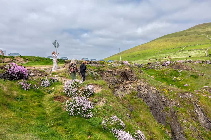 Ring of Kerry & Kerry Cliffs: Private Tour from Killarney - Sneem: a small-town reset on the Ring of Kerry