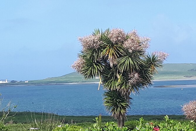 Ring of Kerry Private Tour - Key things to know before you go