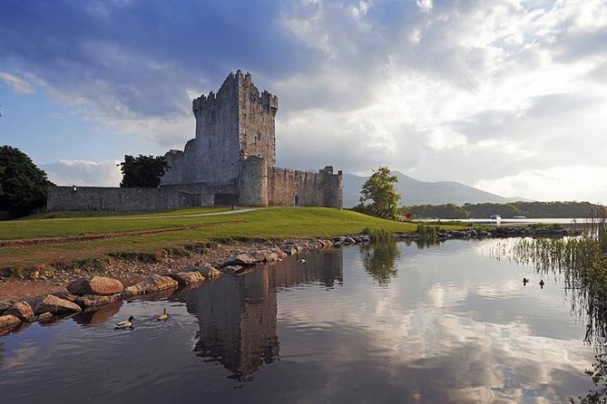 Ring of Kerry private Tour from Killarney, Car or minibus - Price and logistics: what $668.39 per group really buys you