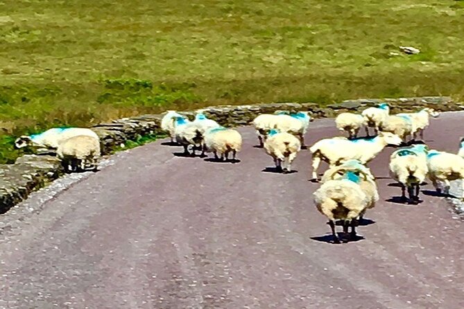 Ring of Kerry private Tour from Killarney, Car or minibus - A full nine-hour day that stays paced, not rushed
