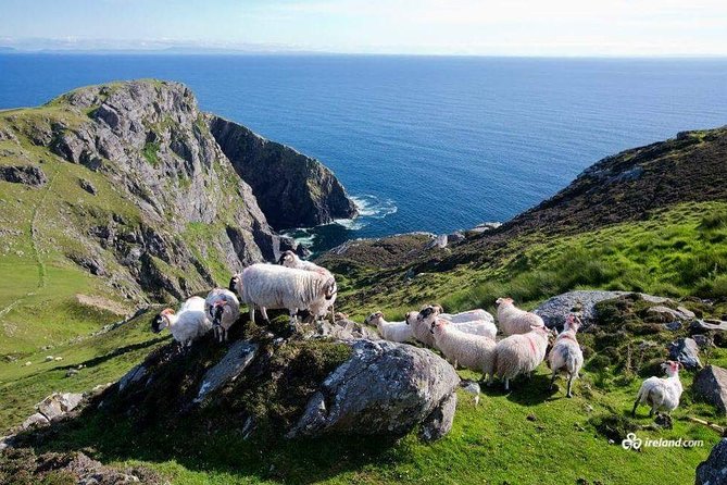 Ring of Kerry & Skellig Ring Private Day Tour - Key Highlights You’ll Care About