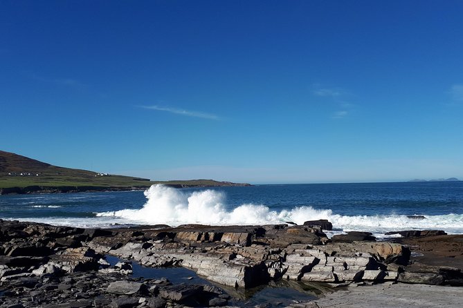 Ring of Kerry & Skellig Ring - Private Mini Bus Tour - The driver-guide factor: why the experience hinges on the person behind the wheel