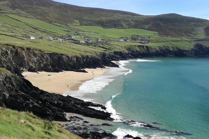 Ring of Kerry Tour Private Chauffeur Driven From Killarney - Kells Sheep Centre: the Border Collies demo you will actually remember