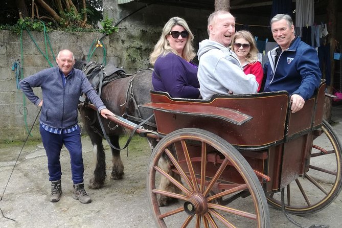 Ring of Kerry Tour Private Chauffeur Driven From Killarney - Kerry Cliffs: short walk, huge payoff, Skelligs included