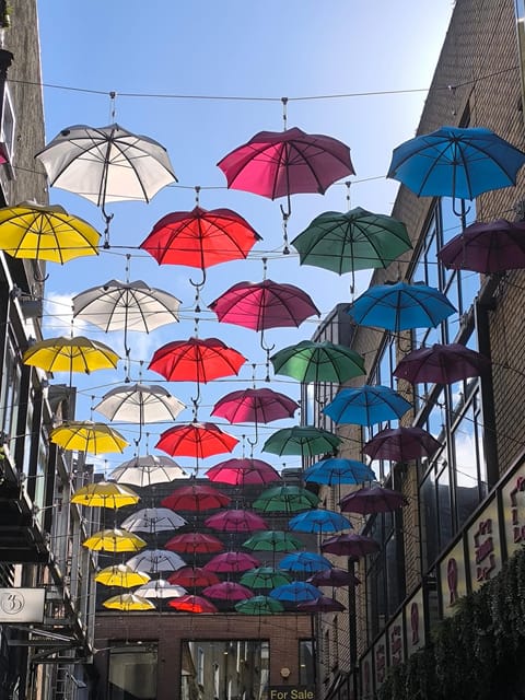 Secret and unusual Dublin: guided walking tour - The secret corners section, Vikings, symbols, and music-literature clues