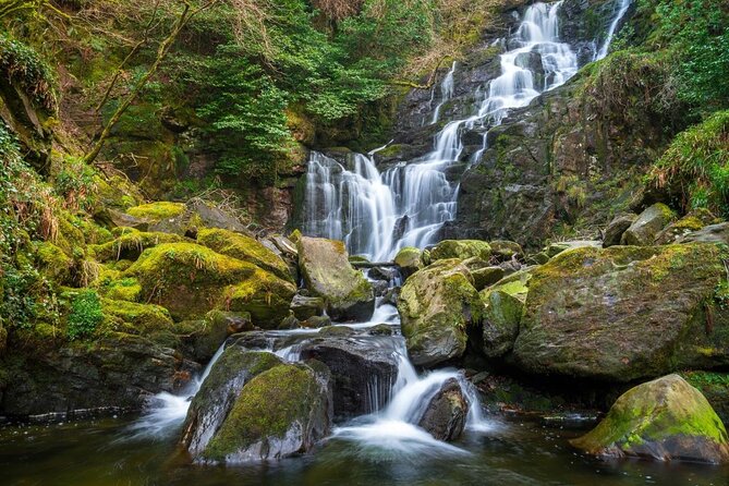 Self-Guided Bike Tour of Killarney National Park, Muckross Gardens & Waterfall - Price and value: what $24.20 really buys you