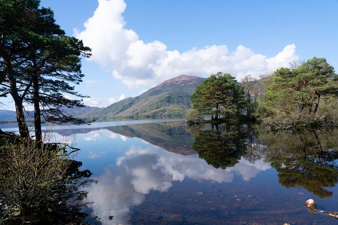 Self-Guided Bike Tour of Killarney National Park, Muckross Gardens & Waterfall - Stop 2: Muckross Abbey, built in 1448 and damaged in 1652