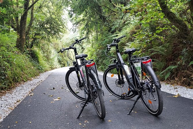 Self Guided Bike Tour on the Limerick Greenway - What makes LiKe Bikes feel like a good match