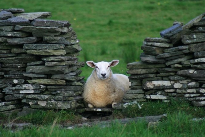 Self Guided Electric Bike Tour of Historical Sites in the Burren Co Clare - Price and value: what $78.10 per person buys you