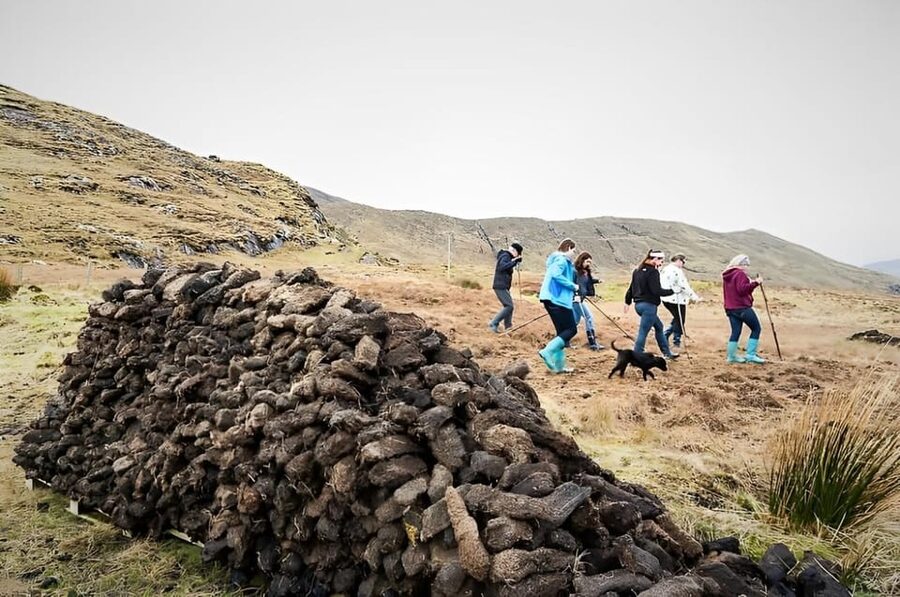 Sheepdog herding demo on working sheep farm. Galway. Guided. - From Leenane to the farm: how the 1.5 hours usually flow