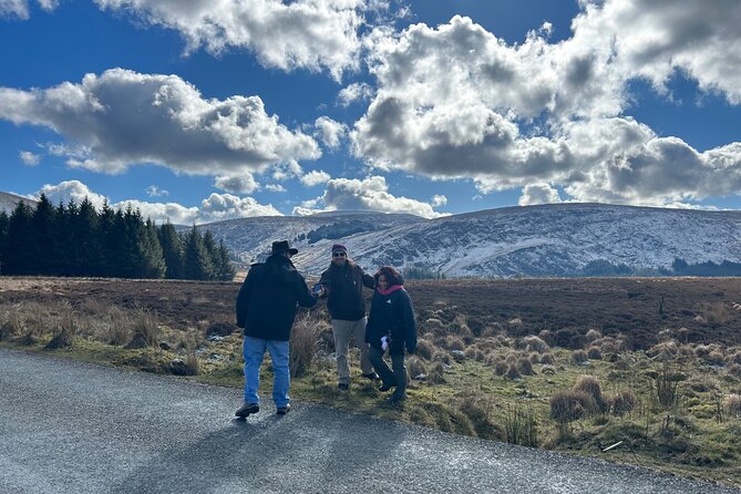 Sheepdogs in the countryside, authentic Dubliners city tour combo - Wicklow sheepdogs: the countryside stop that turns a scenic ride into a lesson