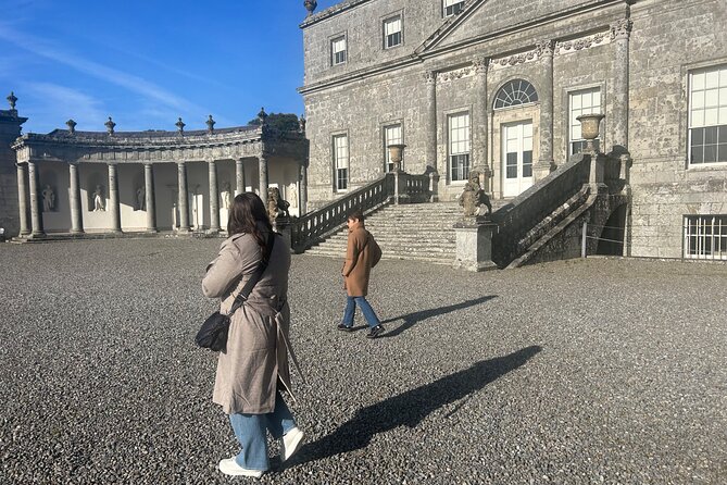 Sheepdogs in the countryside, authentic Dubliners city tour combo - Phoenix Park: deer spotting and a chance to play hurling